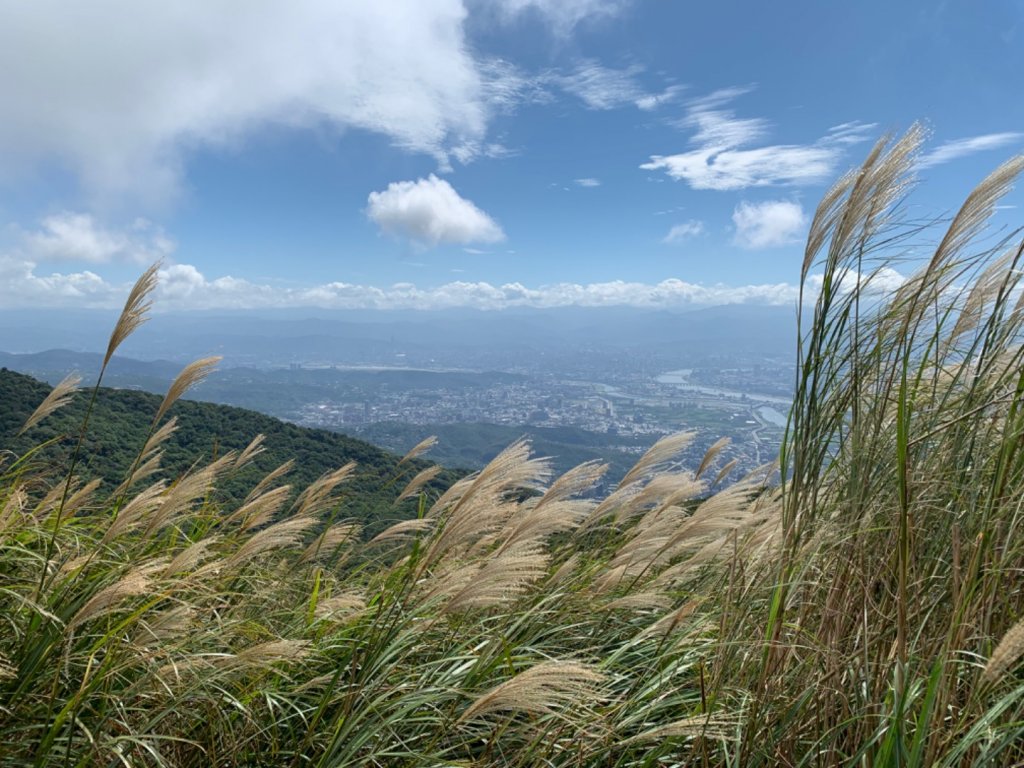 面天山向天山步道_1490807