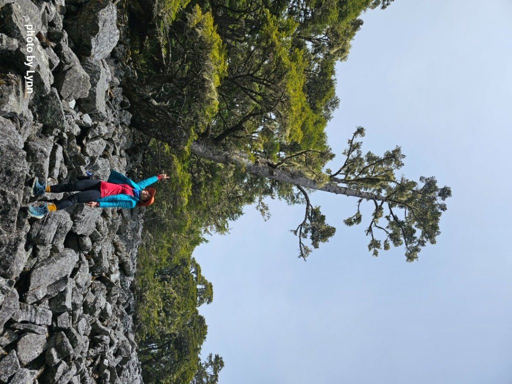 武陵四秀_2470536