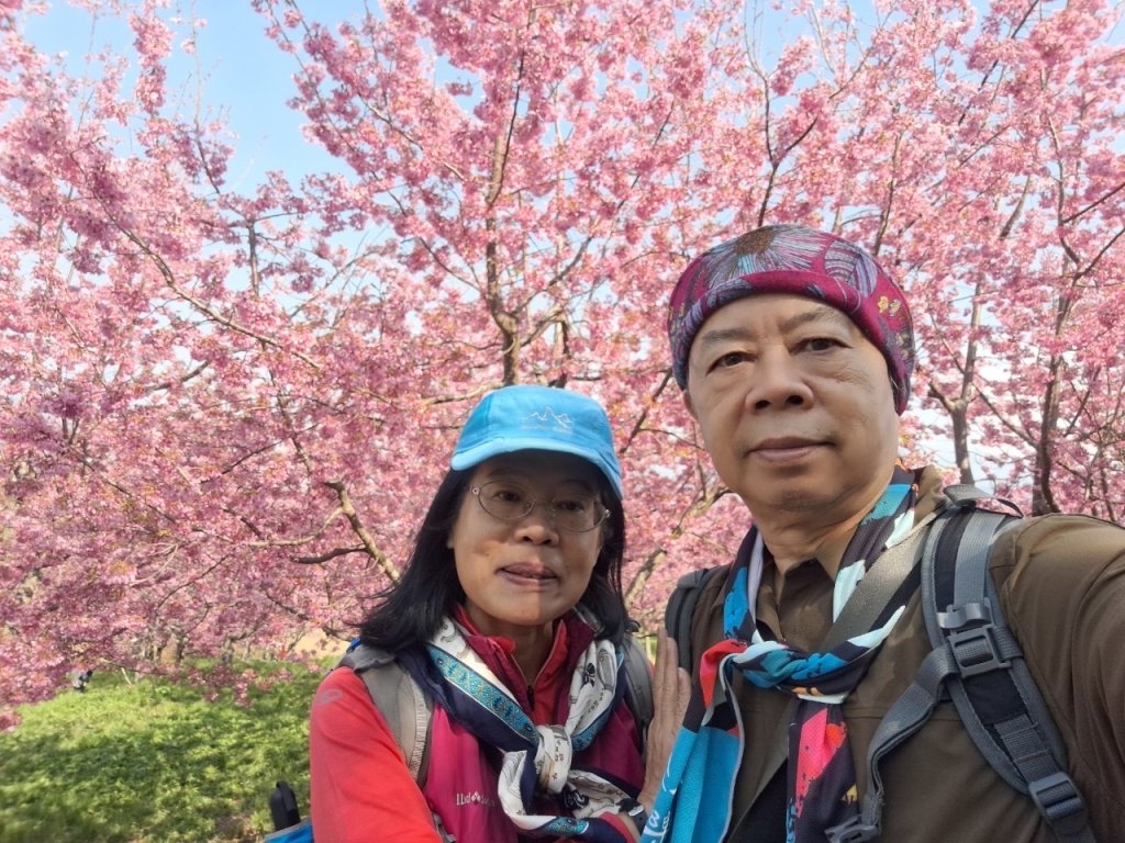 福壽山千櫻園封面圖