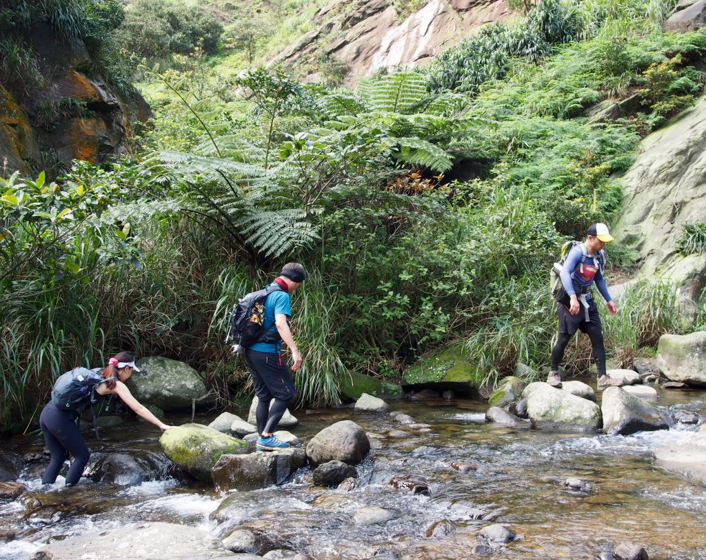 在劍龍脊上飛躍，無所畏懼！_554366