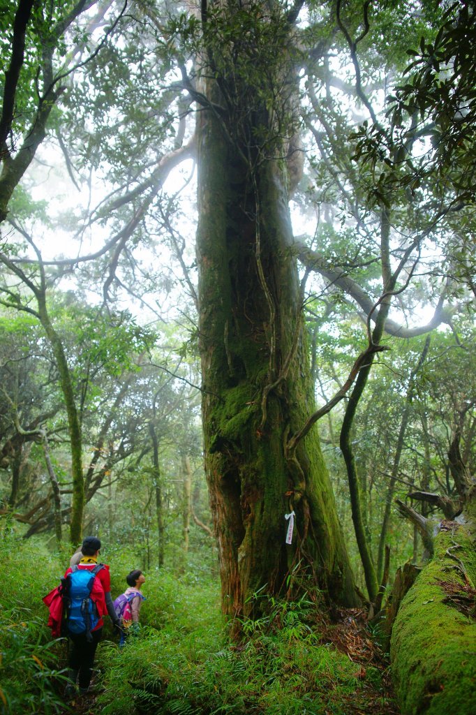 高島縱走親子行_549705