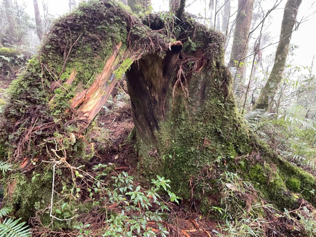 冰霰世界-三星山_2042544