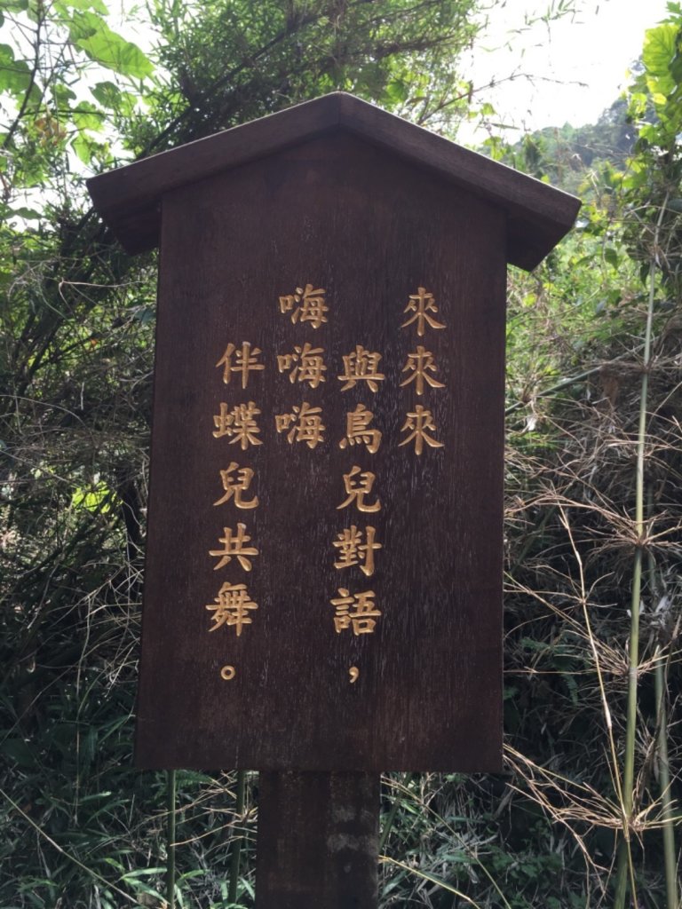 2021/05/08台北大縱走第七段_1378835