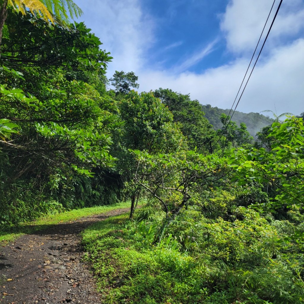 礁溪跑馬古道封面圖