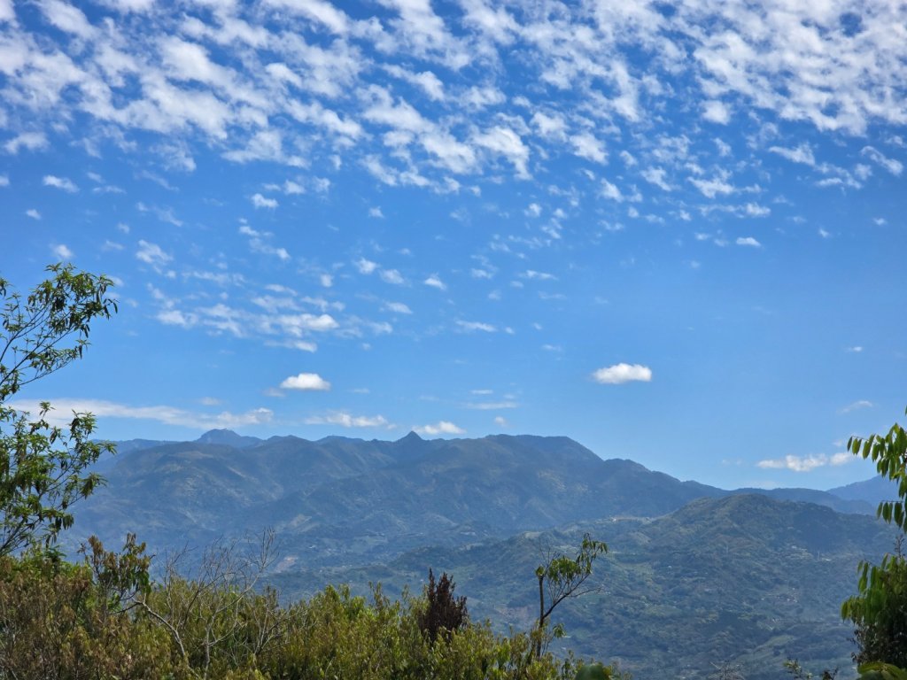 台中大坑頭嵙山區1號／5-1號5號步道黑松亭順訪二嵙山_2748343