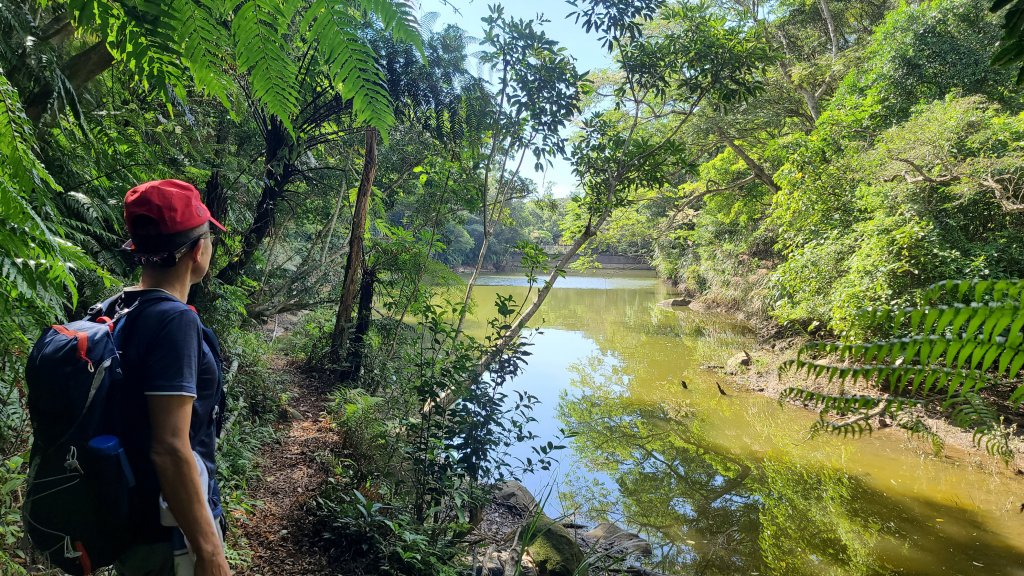 2023-11-19 楓林橋-溪山里山-甜水鴛鴦湖-帕米爾公園-聖人橋O型封面圖