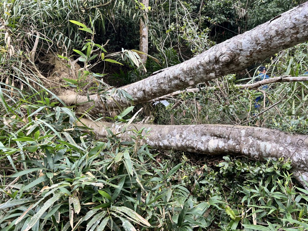 大橫屏山_2721458