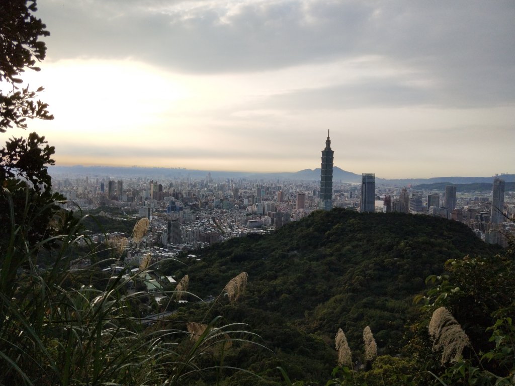 南港山縱走親山步道(拇指山、南港山、象山、九五峰)_1679333