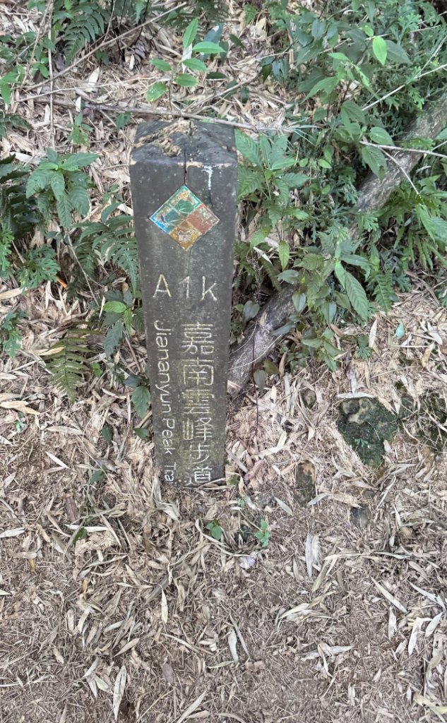 九穹神木 左訪嘉南雲峰 右到好望角看風景上石壁山(小百岳#55)_2944845