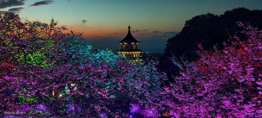 天元宮了嗎？2/3&10&14_2992763