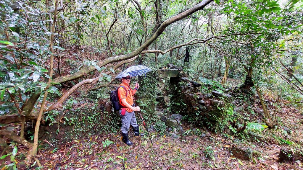 陽明山後花園，百年靜美牧牛山徑，古道草原精華連走封面圖