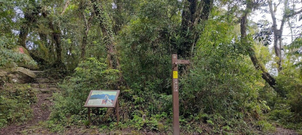 2023 4/9 都蘭山_2107715