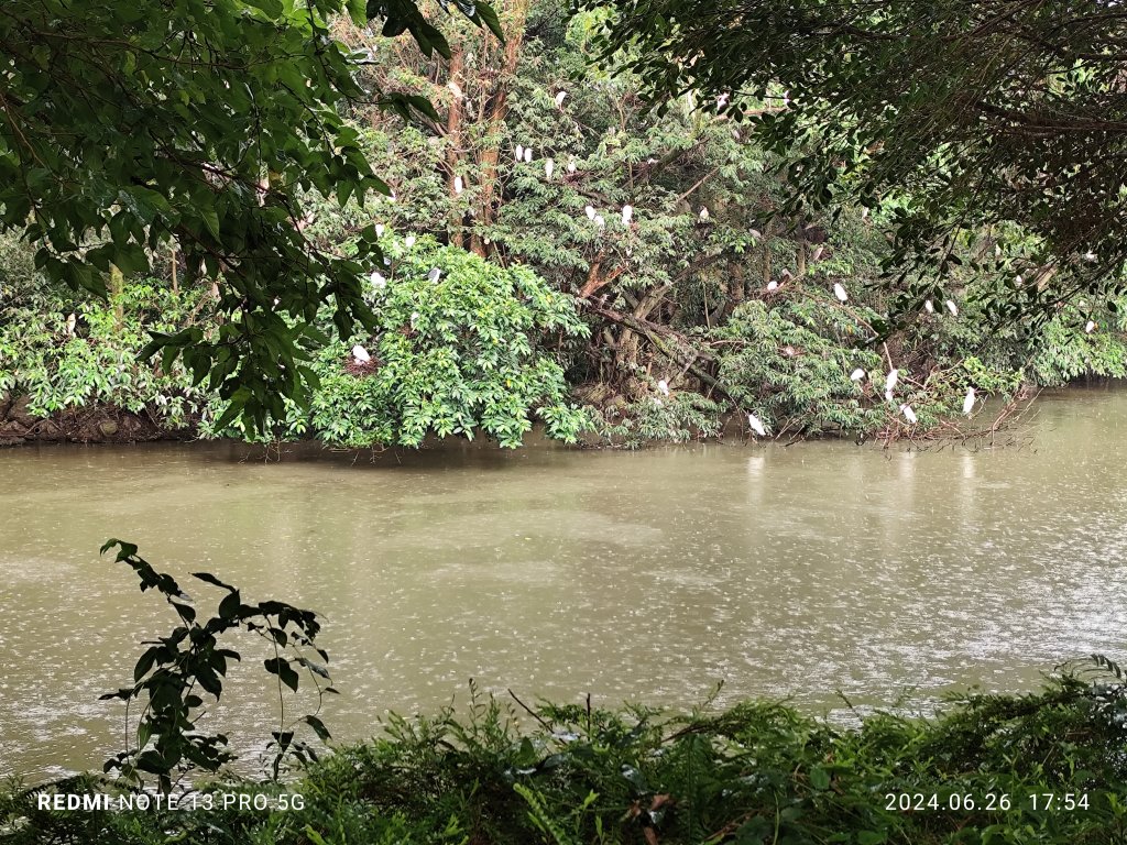 大安森林公園、寧夏夜市、士林夜市【走路趣尋寶】【臺北健走趣】_2536336