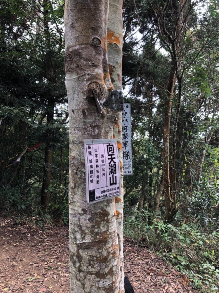 南庄向天湖山步道封面圖