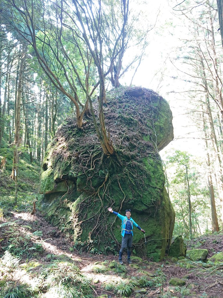 水田林道上貴妃山-鞍部石猴-那結山O型走封面圖