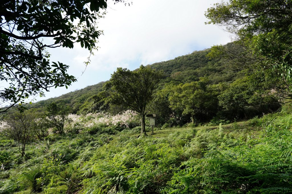 新北 萬里 鹿崛坪山、富士坪山、大尖山_2353381