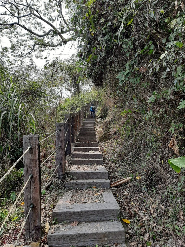 樟湖山、後棟仔山、大尖山、二尖山4山連走_1337046