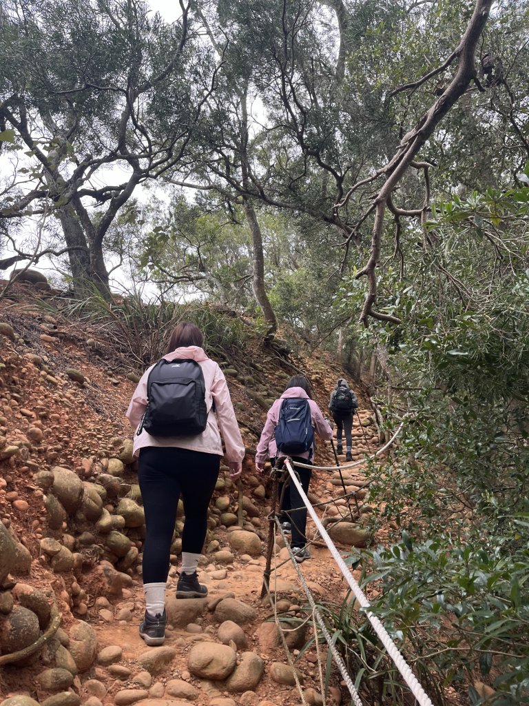 2024/03/29火炎山_2749026