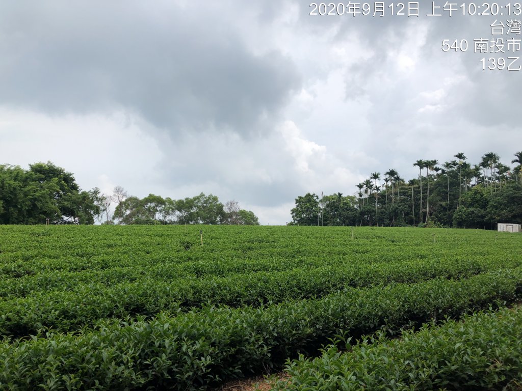 台灣小百岳No.048 橫山封面圖