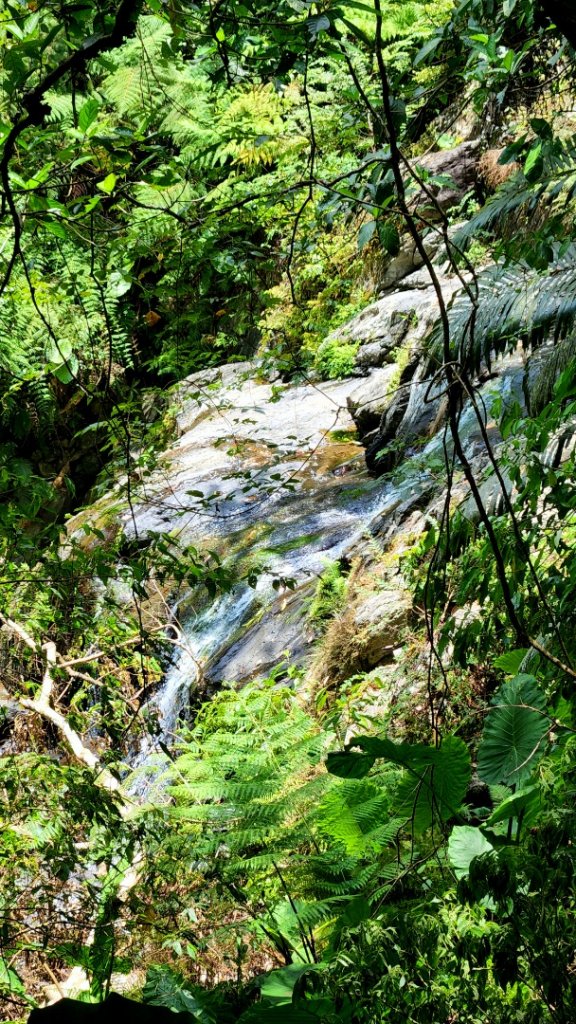 直潭山，二龍山，屈尺古道，小粗坑綠廊，西坑林道，千島湖，鬼子瀬尖山（大尾山），雷公埤_1813172