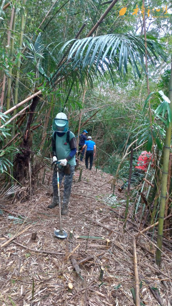 樟之細路 | 08/24砍草任務_658067