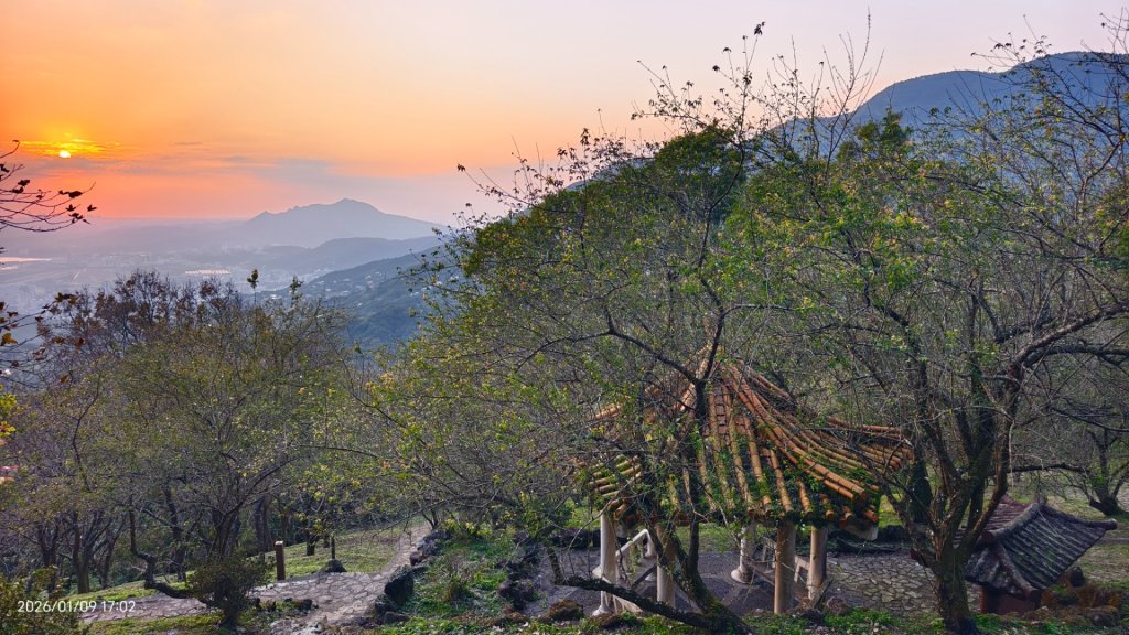 #翡翠水庫壩頂 #雲海 #日出 #陽明公園 #夕陽1/9_2979447