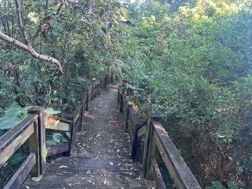 楓仔林步道、蝙蝠洞、護國清涼寺、草嶺步道_2663922