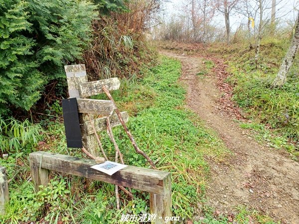 【新竹。尖石】蜿蜒車程比山行還辛苦。 小百岳集起來。 編號28小百岳~李崠山步道x合興車站_1616985