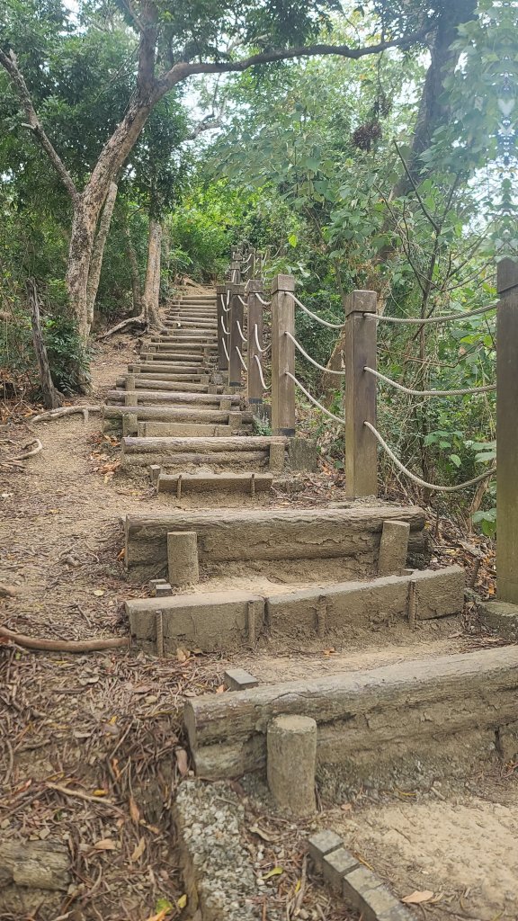 2025-0208聚興山小百岳_2710846