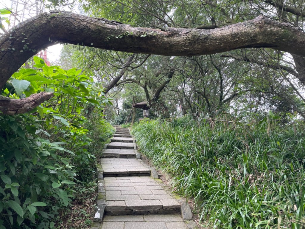 南港山遠眺101_2018033