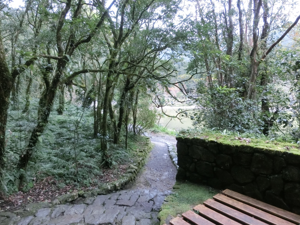 棲蘭山莊．神木園．明池_93523