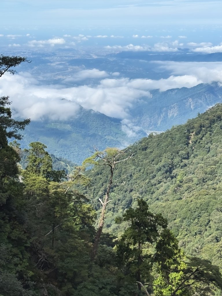 船型山林道賞雲海、烏石坑山、2432峰 山景海景一次到位_2929290