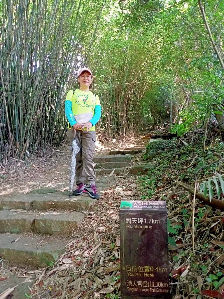 【臺北大縱走 1】(2-1) 二子坪遊客服務站→下青礐步道_1486243
