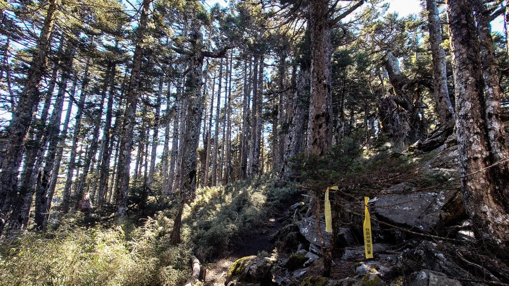 一日南臺首岳 關山(2023.1.13)_1994186