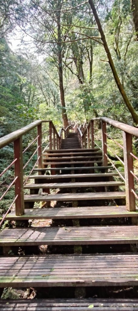 拉拉山國家森林遊樂區_2752216