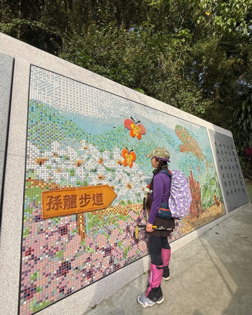 鳳鳴-龜山-鶯歌六連峰縱走/樹林大凍山-鶯歌蛋石山-鶯歌陶瓷博物館_2697072
