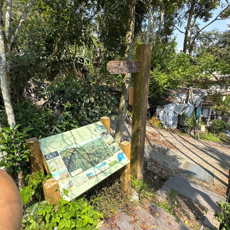 20250308古坑後棟山涼亭、挑筍古道_2730483