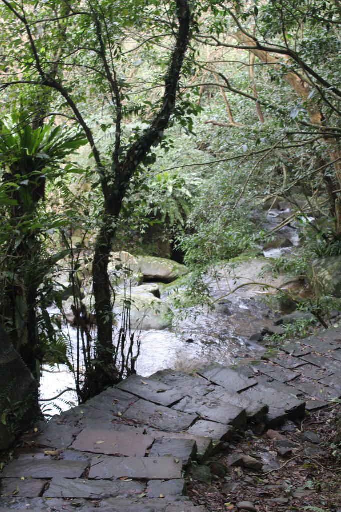 草嶺古道 _754381