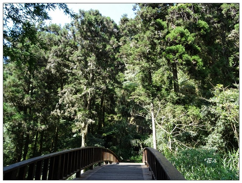 奮起湖木馬棧道_1615692