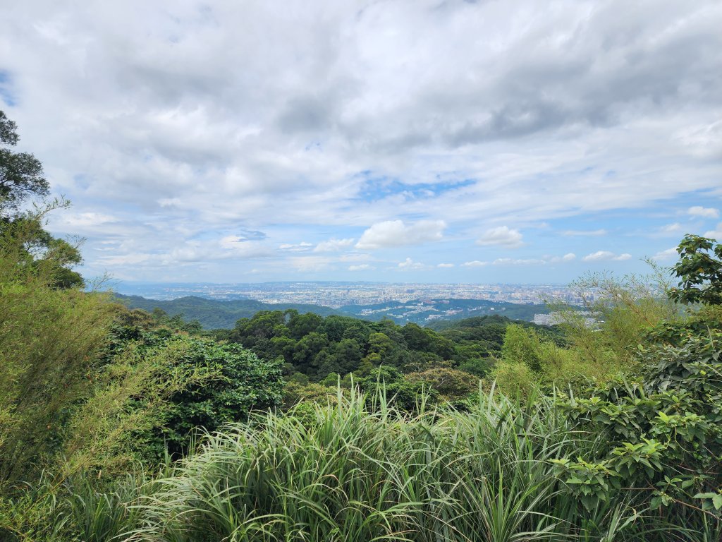 小百岳No.15⛰大棟山(龜崙山)_2849768