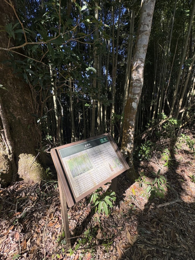 20251221嘉南雲峰、石壁山登山步道_2968178