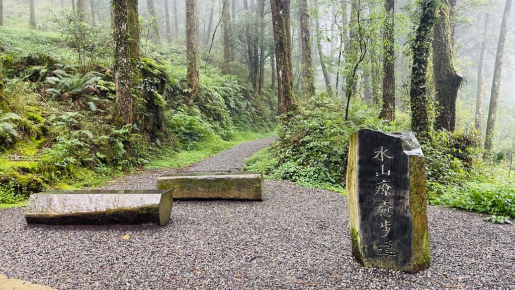 1130610水山巨木步道O繞_2523642