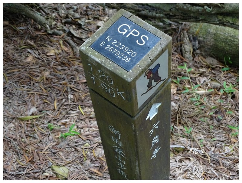 潭子/聚興山(小百岳)_631462