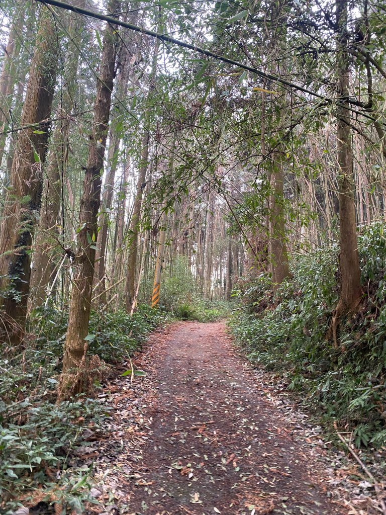 1120329奮瑞古道_2643519