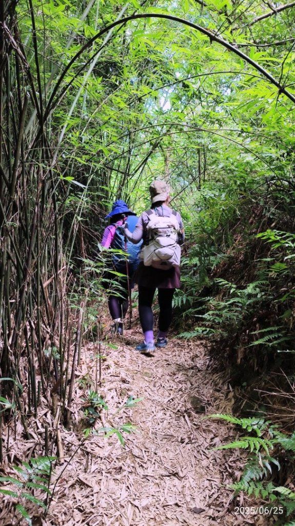 雙溪-四柑-後番子坑古道-土地公-上下內平林-大平林山-石笋-焿子寮古道-猴硐-金瓜石大小粗坑古道_2822067