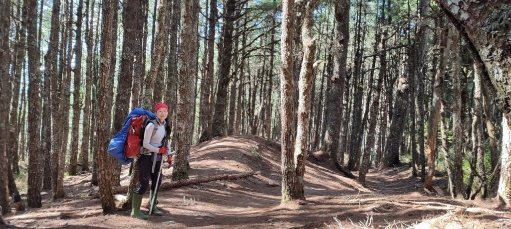 中央尖山_1516485