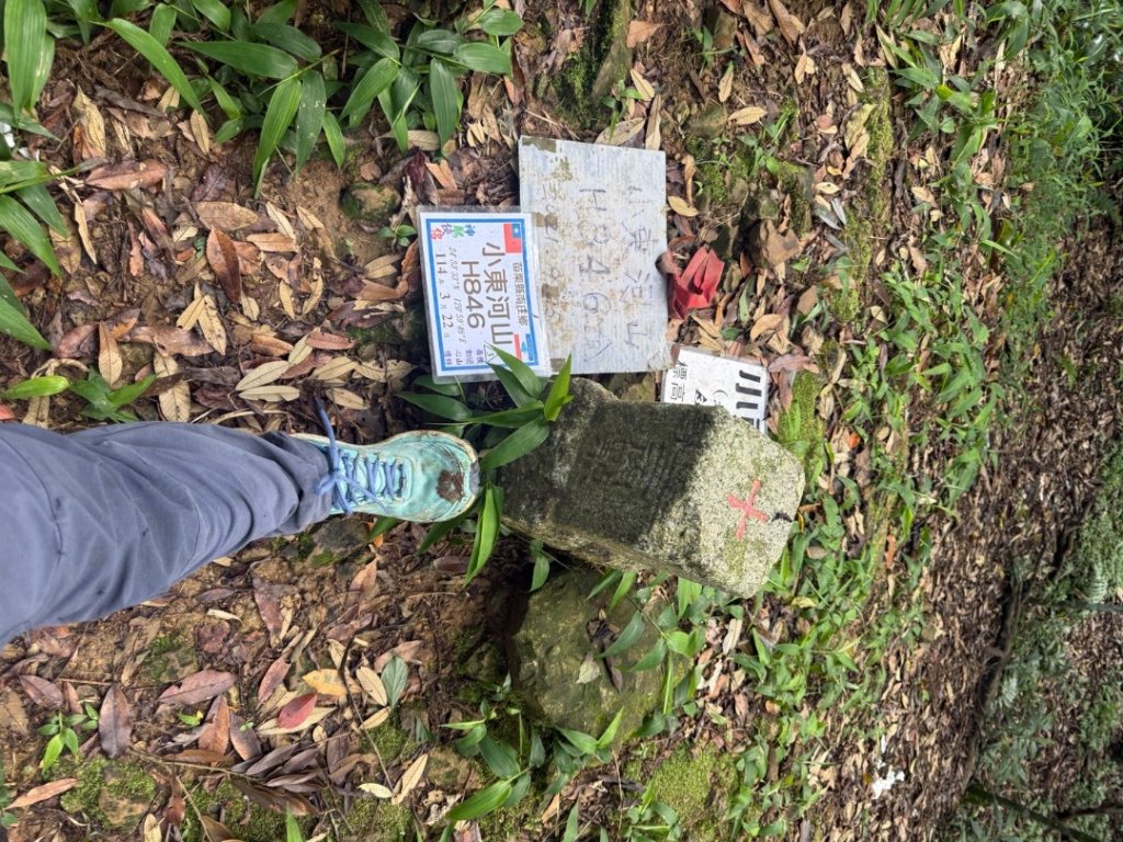 20250607 春谷養鱒場所上加里山 出大坪_2805205