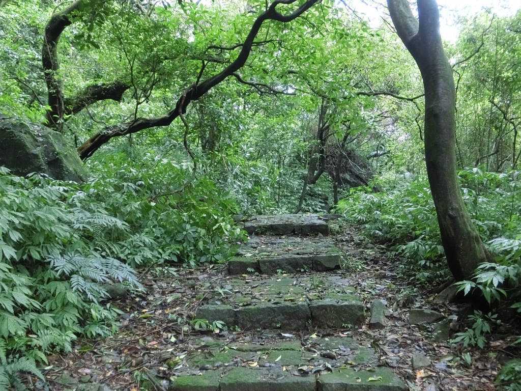 魚路古道（天籟八煙段）．八煙聚落_95172
