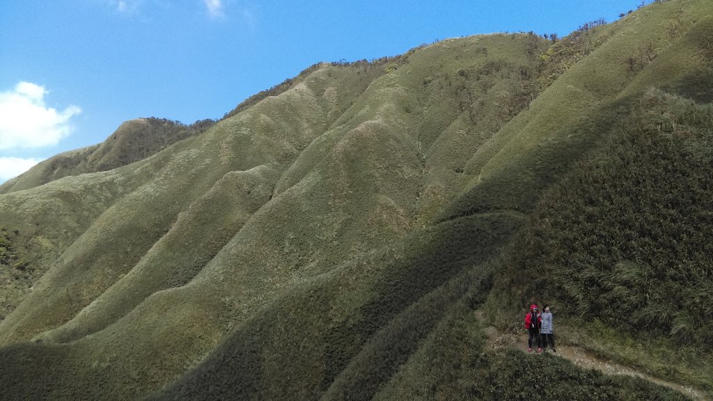 心之所嚮的礁溪聖母峰－抹茶山_880525
