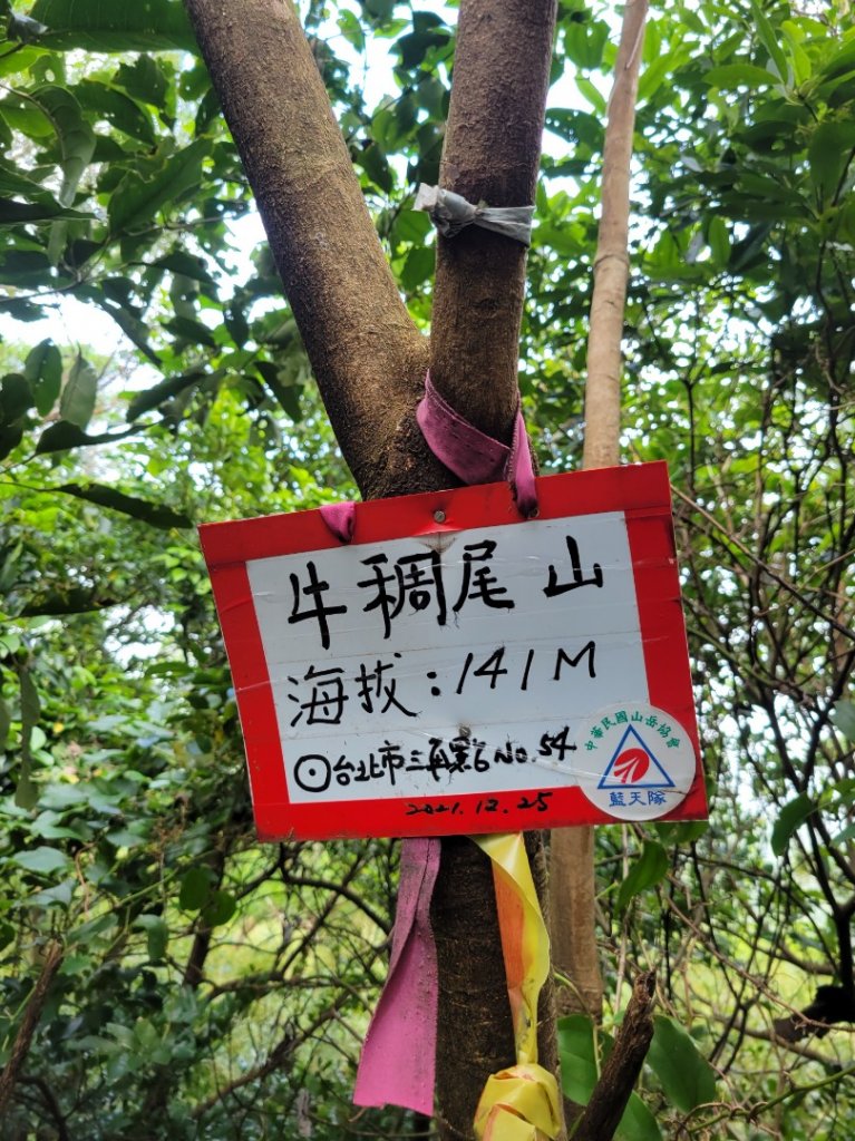 2022.11.03 內湖區健行_1901361